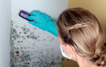 Sposoby likwidacji plam, zacieków i pleśni